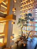 「インテリア、内装、造園、花屋。そのすべてが「空間づくり」につながった。and collaboが提案する、植物のある豊かな暮らし。」の画像7