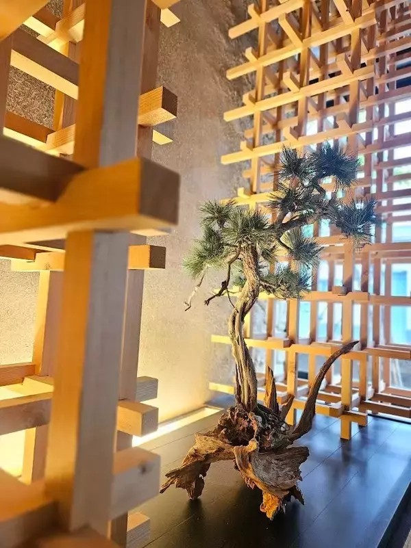 「インテリア、内装、造園、花屋。そのすべてが「空間づくり」につながった。and collaboが提案する、植物のある豊かな暮らし。」の画像