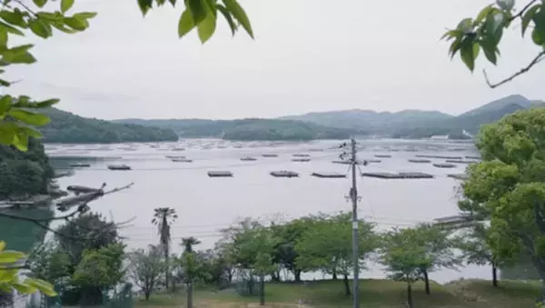 「～Cキューブ・コンサルティング誕生の舞台裏～　密着動画第２弾」の画像