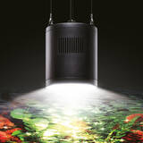 「新発売のアクアリウム用 LED照明「GEX aquarista クリアLED RADIUS」がグッドアクアリウムデザイン賞2025 GOLD Prizeを受賞」の画像1