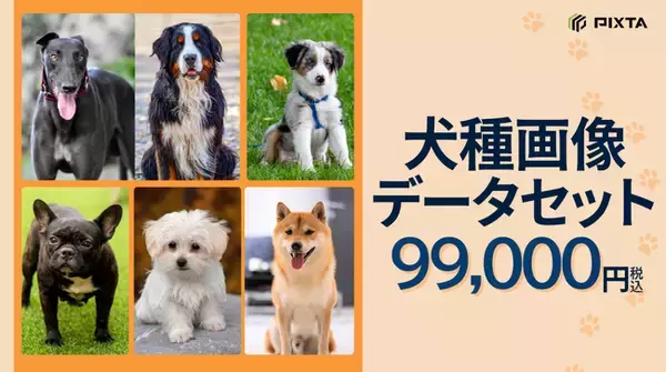 PIXTA、機械学習用「犬種画像データセット」販売開始