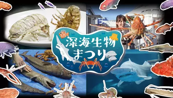 【横浜・八景島シーパラダイス】深海生物を見て、さわって、知って、味わう！『深海生物まつり』【２０２２年１２月２６日（月）～２０２３年４月２日（日）】
