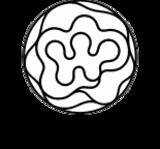 「【WE ACTION DAY 開催のお知らせ｜セレッソ大阪ヤンマーレディース】2025年12月20日（土）インクルーシブフェスタ」の画像1