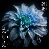 「花譜のもう一つの姿バーチャル“シンガーソングライター”廻花”待望の1st Single「かいか」が4月24日にリリース＆MV公開決定！」の画像1