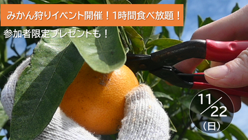 【JAF長崎】旬の「原口早生みかん」が1時間食べ放題！みかん狩り体験イベントを初開催！約3kgのお土産と参加者限定プレゼントも！