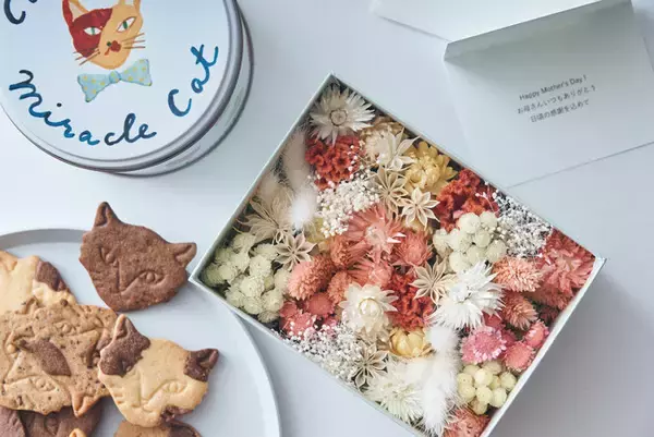 【gui×フェアリーケーキフェア】フラワーデザインチームと母の日限定コラボレーションギフト 3/25（金）販売開始！「いつもありがとう」の気持ち、五感が満たされるお菓子ギフトで。
