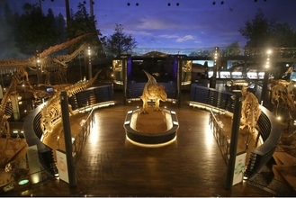 夜の恐竜博物館を貸し切り！「恐竜博物館プレミアムナイトミュージアムツアー」