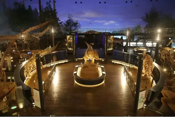 夜の恐竜博物館を貸し切り！「恐竜博物館プレミアムナイトミュージアムツアー」