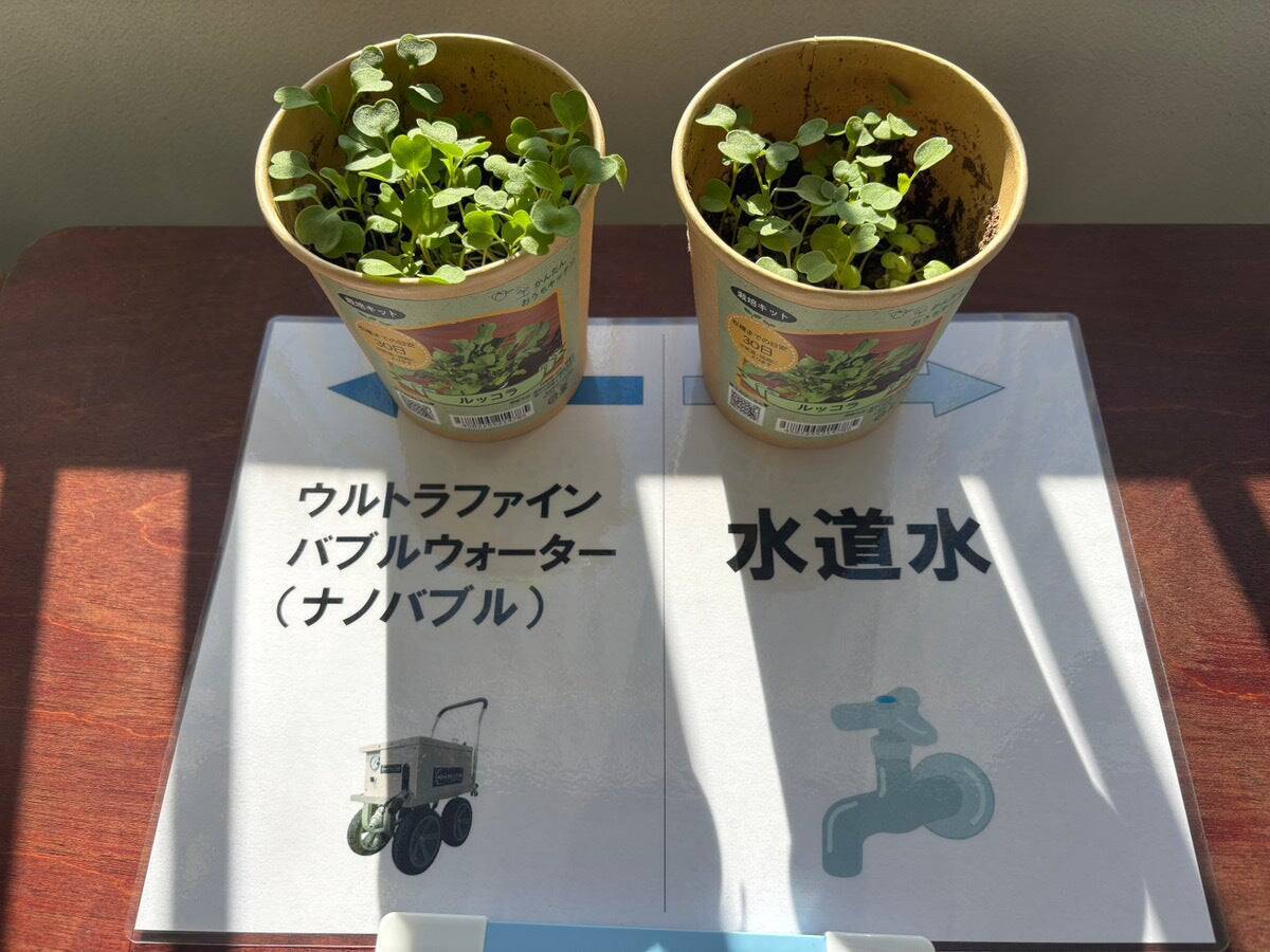 パブロス、カクイチと武蔵野学院大学による「フォレストビレッジ・教育プロジェクト」始動