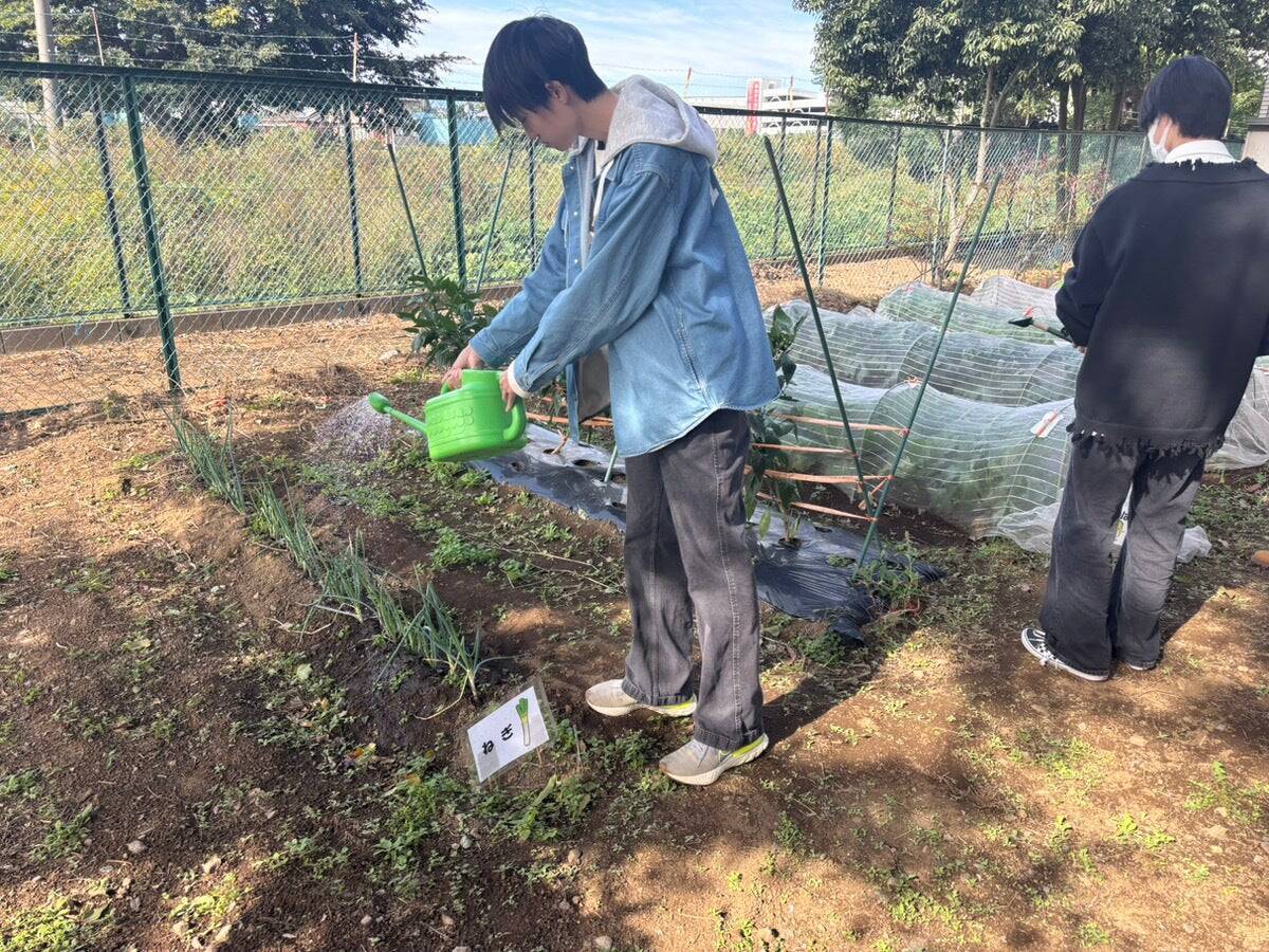 パブロス、カクイチと武蔵野学院大学による「フォレストビレッジ・教育プロジェクト」始動