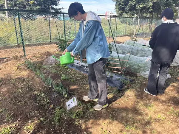 「パブロス、カクイチと武蔵野学院大学による「フォレストビレッジ・教育プロジェクト」始動」の画像