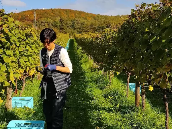 「「甘さ×旨味」の可能性を信じて - 昆布ティラミス誕生の裏側 -」の画像