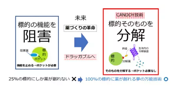大学発ベンチャー FuturedMe　日本発の分解創薬プラットフォーム CANDDYで　NEDO「ディープテック・スタートアップ支援事業」に採択決定