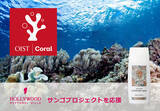 「ハリウッドは沖縄科学技術大学院大学(OIST)の「サンゴプロジェクト」を通して、サンゴ礁の未来を守ります」の画像1