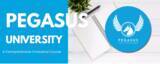 「ペガサス大学 "大企業向けイノベーション特別講座" のご案内」の画像1