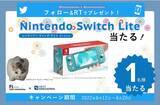 「ネクストイノベーションと任天堂switch liteが当たる合同SNS企画 #ゆずマルから夏のプレゼント キャンペーンスタート！」の画像1
