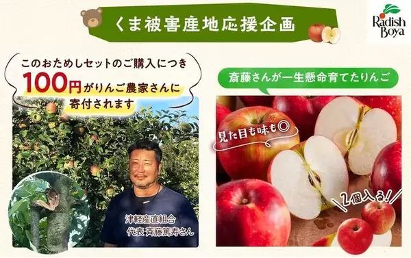 「【らでぃっしゅぼーや】青森のりんご産地で「クマ被害」深刻化 「クマ被害支援りんご入りふぞろい食材おためしセット」販売へ（11/10～）」の画像