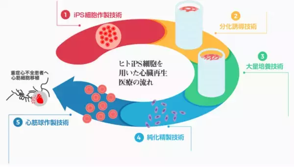 Heartseed、「未来を拓くイノベーションTOKYOプロジェクト」への採択決定