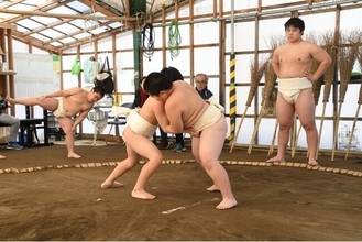 【古巣に錦】大学1年で「アマ横綱」鮫島輝選手が帰ってくる！名門・入間少年相撲クラブが1月6日に「熱気」の初稽古を公開