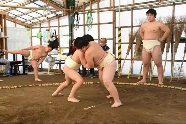 【古巣に錦】大学1年で「アマ横綱」鮫島輝選手が帰ってくる！名門・入間少年相撲クラブが1月6日に「熱気」の初稽古を公開