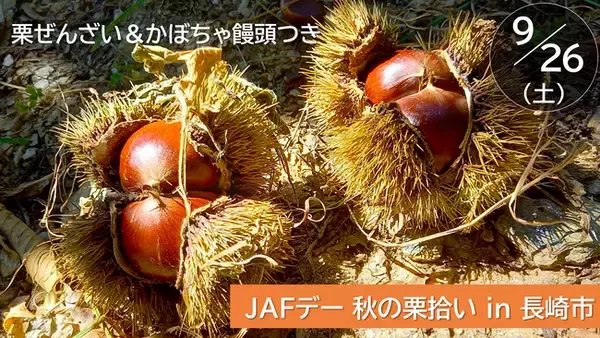 【JAF長崎】秋の味覚を楽しむ「栗拾い体験イベント」を初開催！2kgのお土産付き＆栗ぜんざい・かぼちゃ饅頭の実食も！