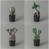 「エスエージーバルーンズ(株)が【インテリアライフスタイル2025】に出展。空気でふくらむ日常がうるおう風船植物「QooSo Plants(R)（クウソープランツ）」の新製品を発表！」の画像1