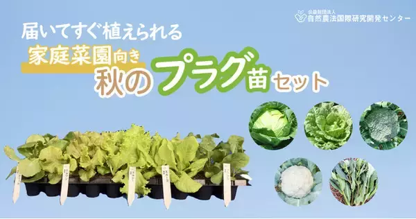 【販売中!!】家庭菜園向き「有機プラグ苗セット」　 秋のサラダ野菜・秋のアブラナ科野菜 （公益財団法人 自然農法センター）
