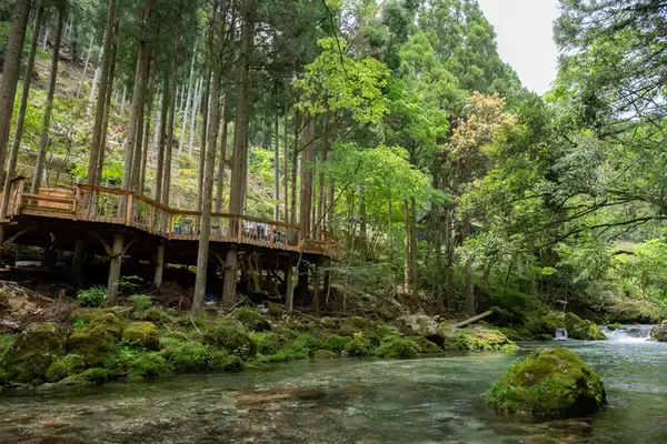 岐阜・円原川の貸切リトリートサウナ施設「THE WATERS」｜一般予約受付を6月7日よりスタート