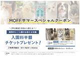 「【次回入園半額】夏の思い出から自由研究まで！？「サマースペシャルクーポン」配布＆「ふれあい観察ノート」新発売！」の画像1