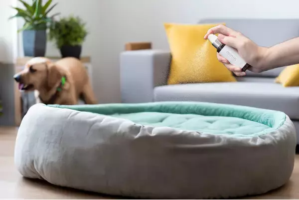 「新商品発表！！ニオイその前に匂う前のワンプッシュ！ 事前対応消臭コーティング3ヶ月間キツい匂いからしっかり守り、定期的に光を当てるだけで防臭効果が復活。サブスク消臭剤！！」の画像