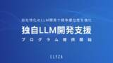 「東大松尾研発 ELYZA、独自LLM開発支援プログラムの提供を開始」の画像1