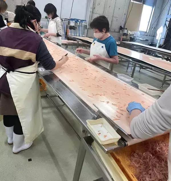 「オキアミを釣り餌へヒットさせたヒロキューが開発した「ポケベイト」。リニューアルで、販売数は常温加工釣りエサ部門、前年比200％！気軽に釣りを楽しめる新商品が生み出されるまでの軌跡。」の画像