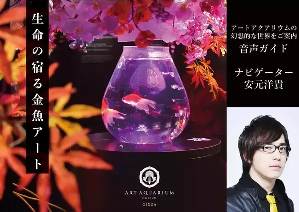 アートアクアリウム美術館 GINZA　声優・安元洋貴さんと楽しむ銀座の金魚　五感で楽しむアートアクアリウムを音声ガイドでもっと深掘りしよう