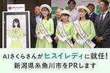 「対話型AI「AIさくらさん」が新潟県糸魚川市の観光大使「ヒスイレディ」見習いに就任！」の画像1