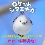 「もふもふ（・⊝・）しゅっぱつ！　北海道の冬空を自由自在に飛び回る"雪の妖精"シマエナガのもふふわ写真集『ロケットシマエナガ』が、12月23日発売！　2026年カレンダーも発売中、大好評重版出来！」の画像1