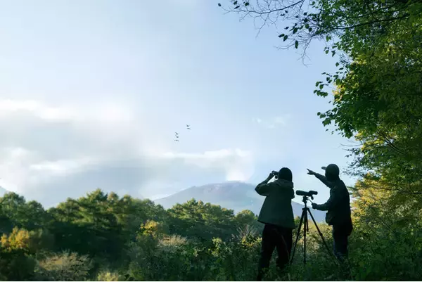 【星のや軽井沢】日本屈指の探鳥地、国設「軽井沢野鳥の森」を専門家と巡る「軽井沢バードウォッチングステイ」開催