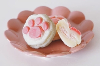 「猫の肉球、食べちゃいたい」宮城・塩竈発のお菓子ブランドが全国展開するまで