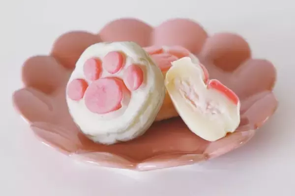 「猫の肉球、食べちゃいたい」宮城・塩竈発のお菓子ブランドが全国展開するまで