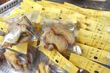 「「猫の肉球、食べちゃいたい」宮城・塩竈発のお菓子ブランドが全国展開するまで」の画像3