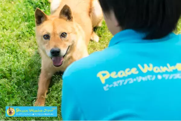 ピースワンコ ・ジャパン　法務省広島矯正管区にて”受刑者の改善更生に向けた日本初の取り組み” 保護犬育成プログラムをスタートします！