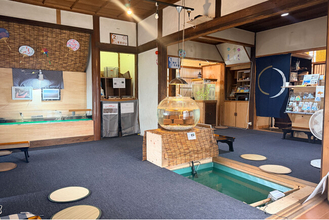【佐賀玉屋】古民家で楽しむ、まちなかの小さな水族館「たまてら水族館」開催。