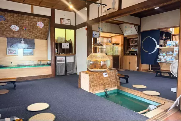 【佐賀玉屋】古民家で楽しむ、まちなかの小さな水族館「たまてら水族館」開催。