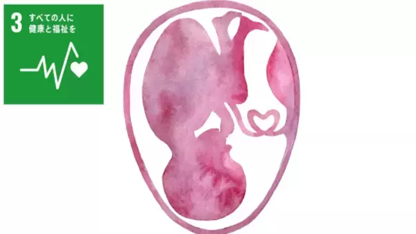 ヒト胎盤の発生・分化を調節する新たな仕組みを解明 ―胎盤の異常を伴う周産期疾患の病態解明、治療法や予防手段の開発に期待―