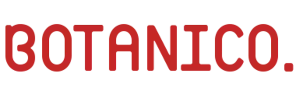 中小企業の“次の一手”を支援──BOTANICOが「AI×SNS×DX実践セミナーシリーズ」開催