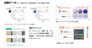拭き取り不要・素材の変色が見られにくい銀イオン水「CERAS（セラス）」、冬の衛生管理に向け飲食・介護施設向けに除菌・衛生管理の提案を開始