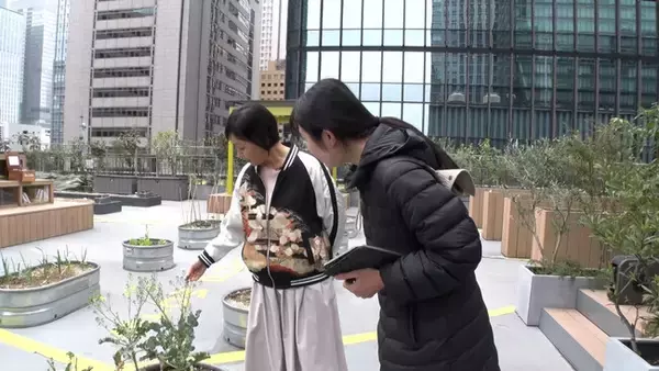 【ＢＳ日テレ】財前直見もびっくり！東京・大手町のビル屋上にある農園とは…？「なおみ農園」4月24日（木）よる10時放送