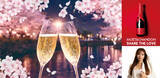 「【ANAクラウンプラザホテルグランコート名古屋】桜とシャンパンLOBBY BLOSSOM with Moet & Chandon ／ DJ NANA」の画像1