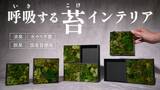 「水やり不要の天然苔インテリア「KOKE」第三弾が登場。KOKE TILEとBLANK TILEで“余白までデザインする”新しい楽しみ方を提案」の画像1