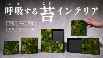 水やり不要の天然苔インテリア「KOKE」第三弾が登場。KOKE TILEとBLANK TILEで“余白までデザインする”新しい楽しみ方を提案