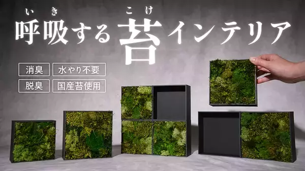 水やり不要の天然苔インテリア「KOKE」第三弾が登場。KOKE TILEとBLANK TILEで“余白までデザインする”新しい楽しみ方を提案